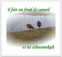 froid de canard