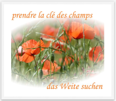 prendre la clé des champs