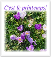 C'est le printemps!